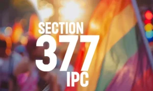 section 377